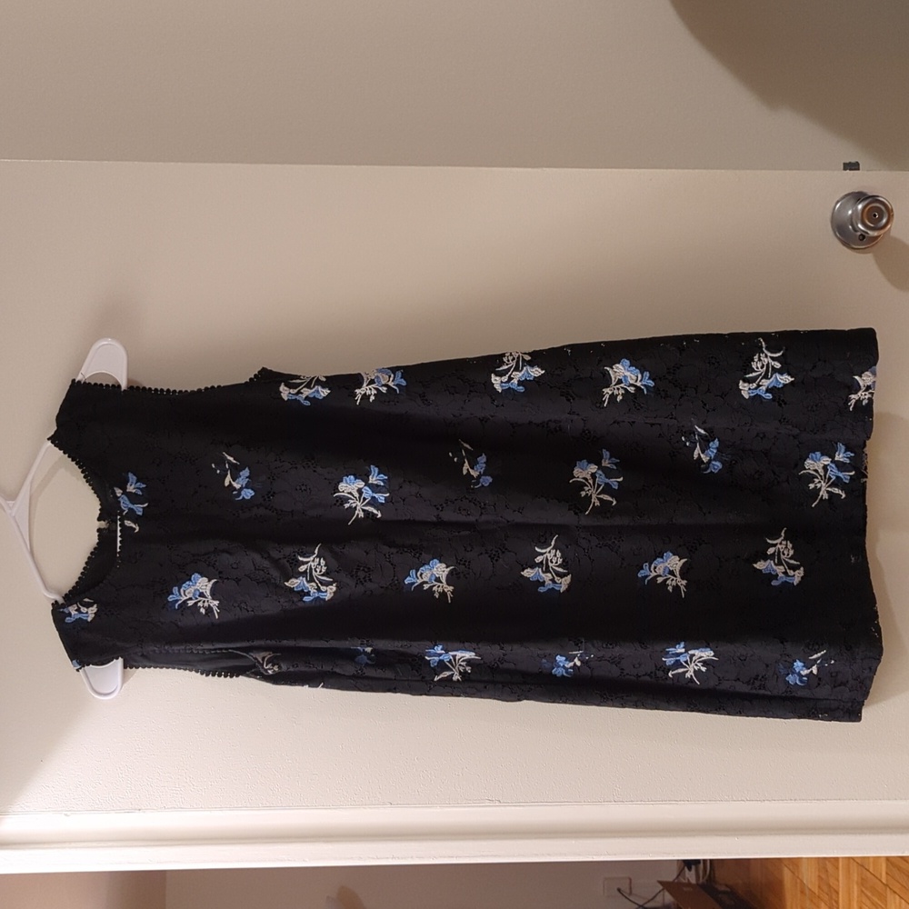 Ann Taylor lace shift dress